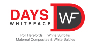 Days Whiteface